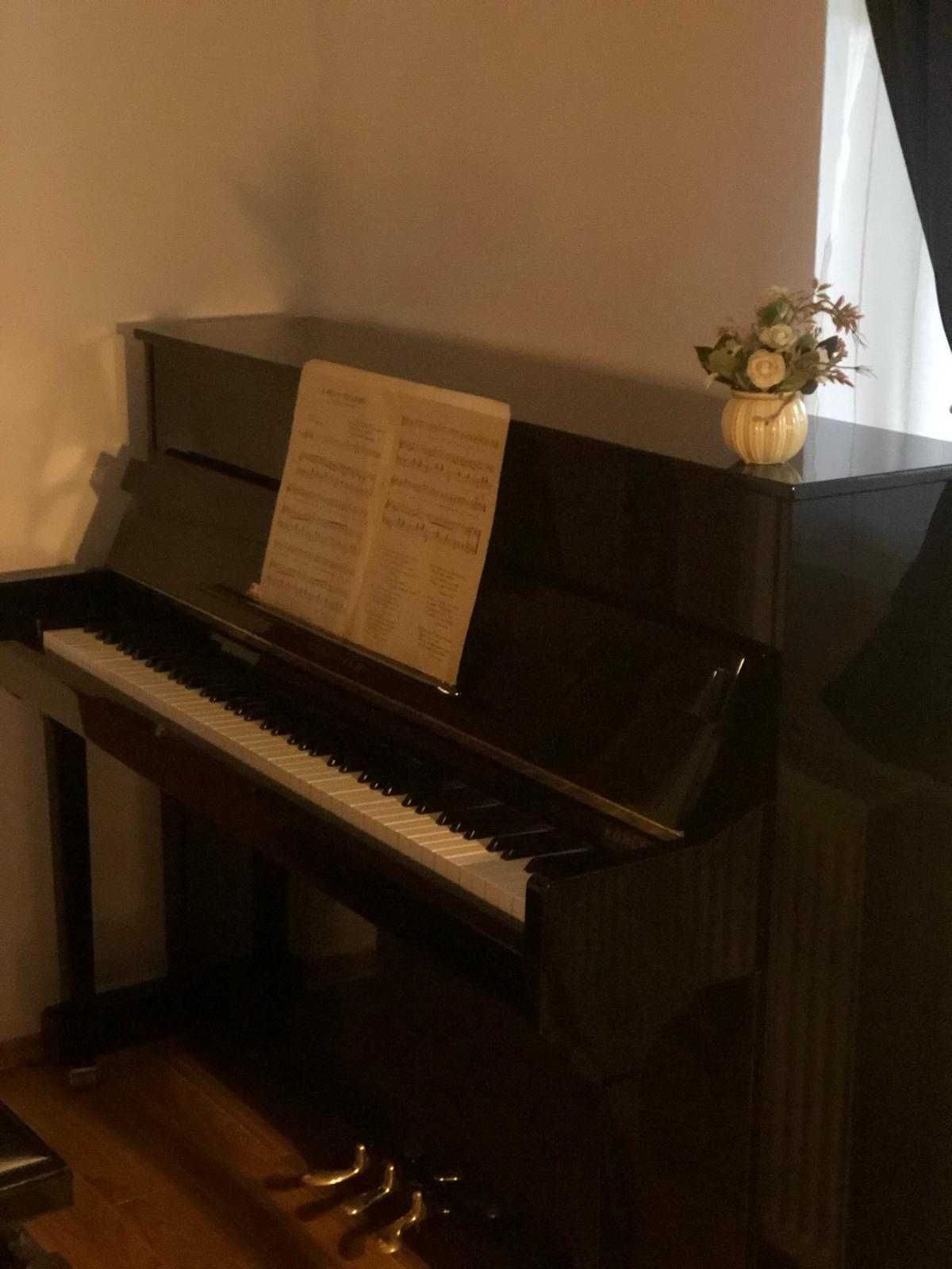 Cursuri de pian private, 30 lei/oră