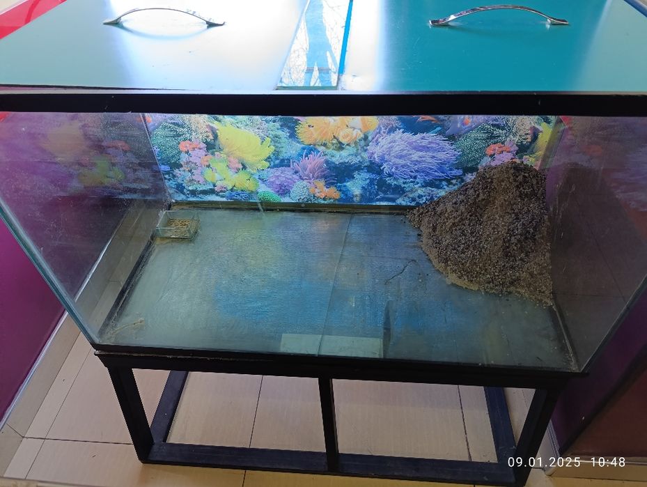 Akvarim sotiladi srochna.