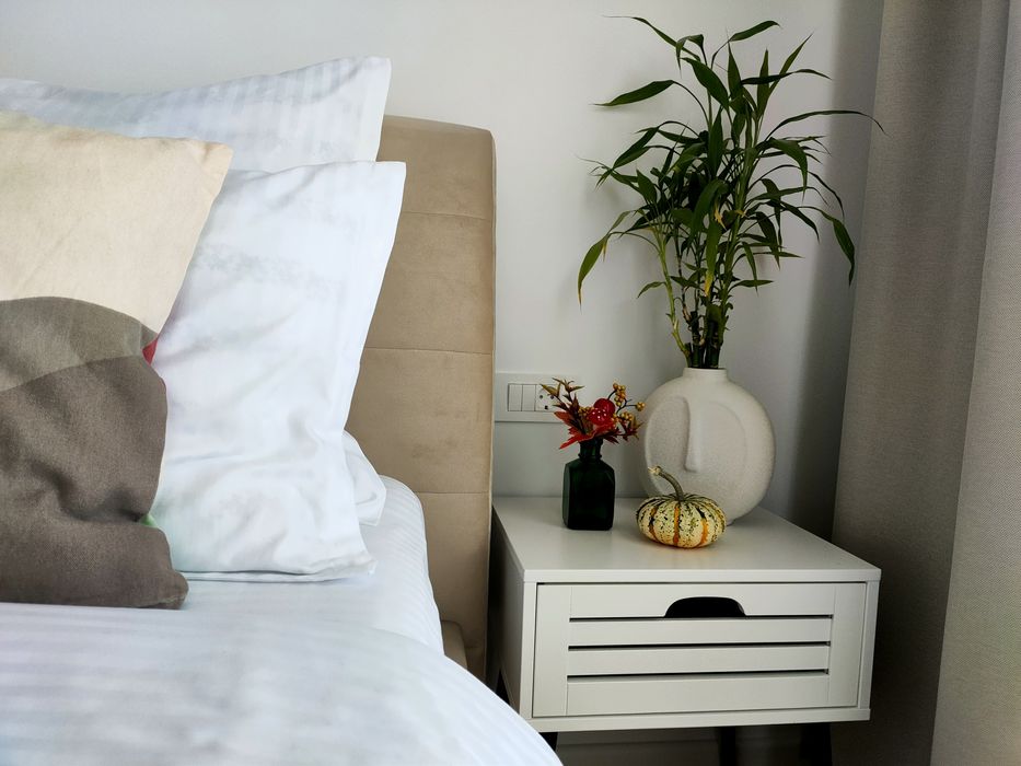 Apartament regim hotelier Vivo clinica Amethyst Columna Florești Cluj