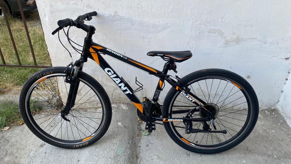 Giant rincon stern scott author