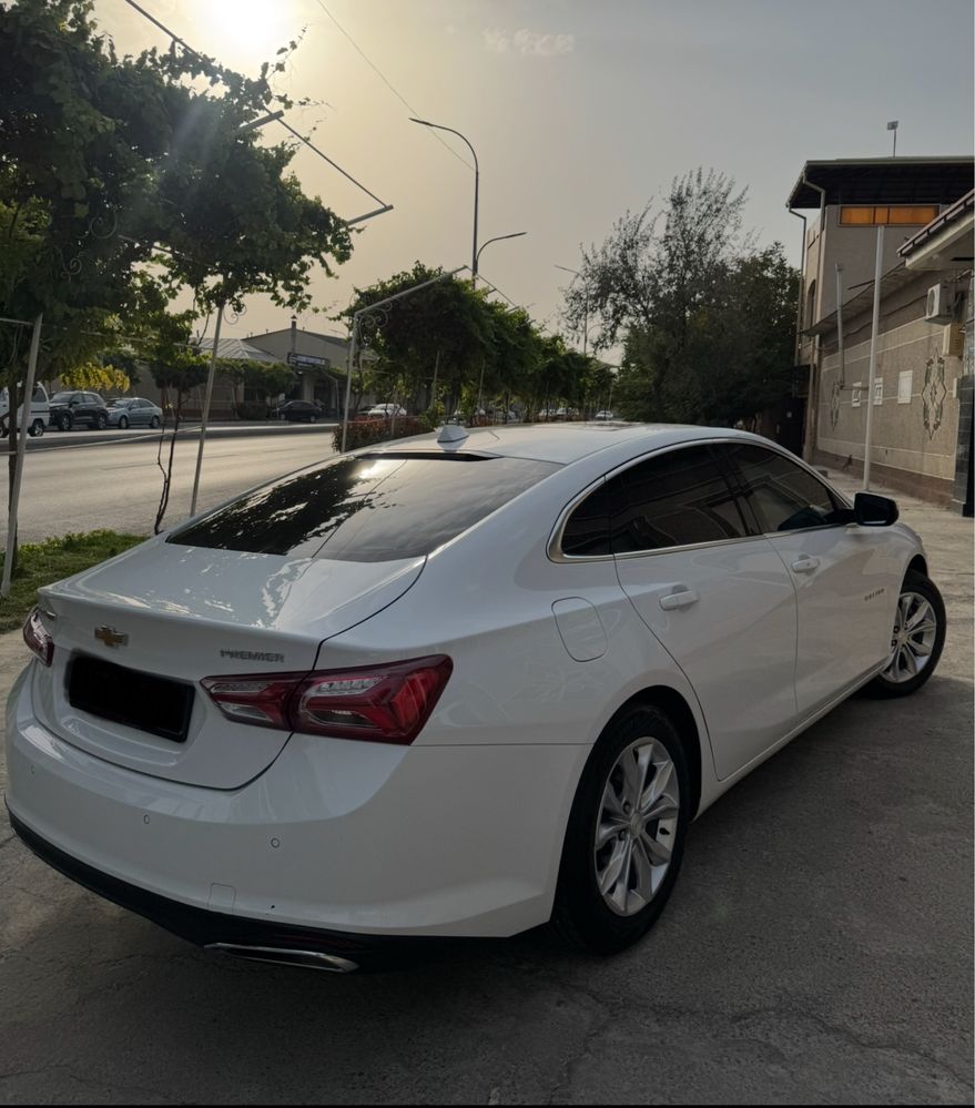 Malibu Pirimer 2020