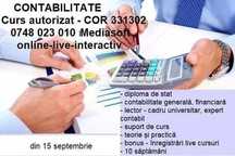 Curs Contabil COR-331302 online