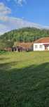 Execut defrișări de teren, toaletări de copaci, tuns iarbă, tăiat lemn