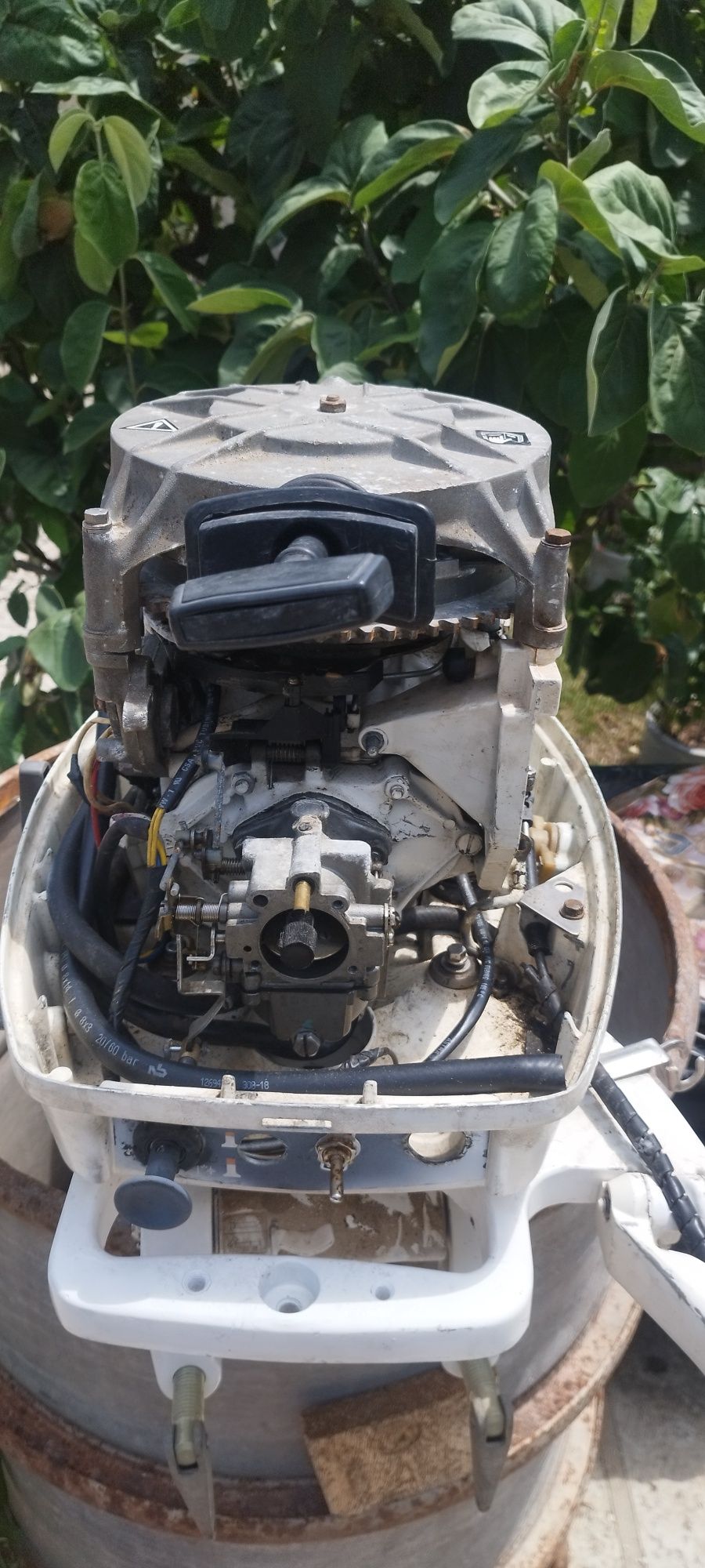 Vand motor Johnson 25 cai