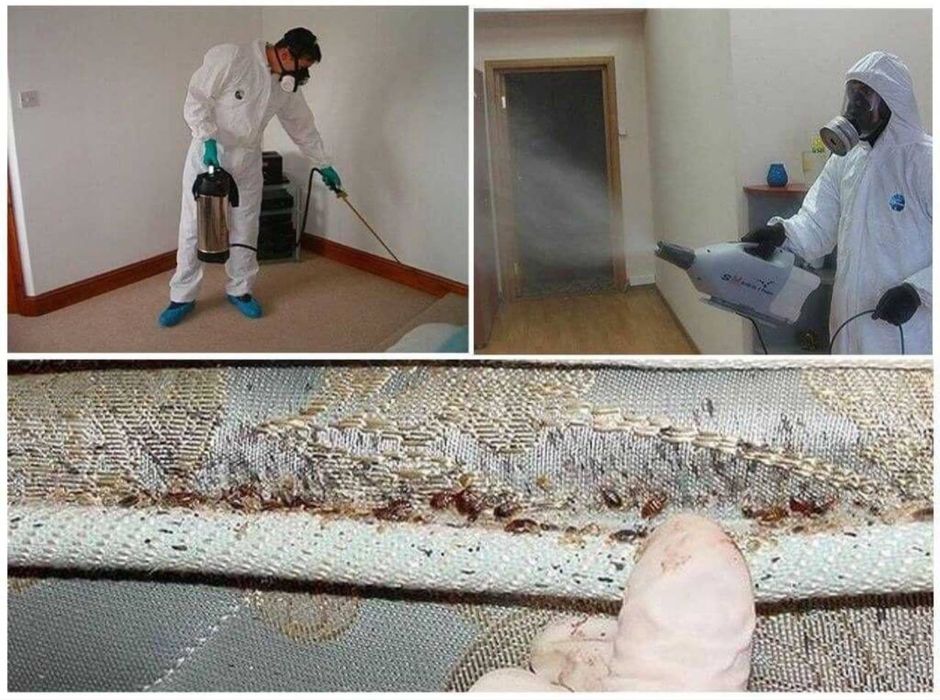 Дезенфекция дизенсекция дератиция клоп таракан dizinfeksiy 20% скидка