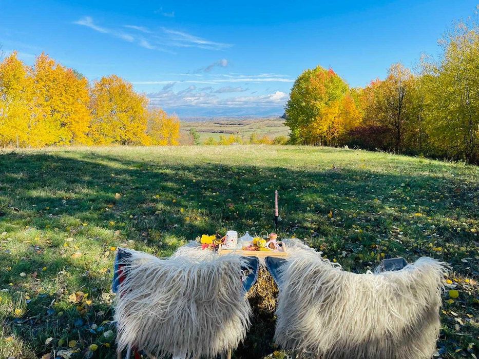 Rulotă de închiriat - libera de REVELION