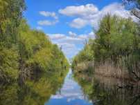 Teren spectaculos în Delta Dunării – ideal pentru complex turistic