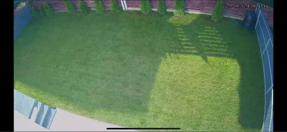 Tundem iarba, gazon, gard viu, tuia, buruieni, bălării, defrișam!