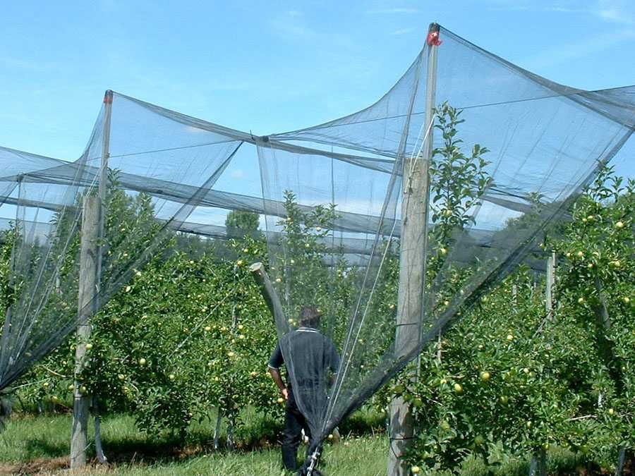 Мрежа ПРОТИВ ГРАДУШКА 10х6м засенчваща за земеделие градини зеленчуци