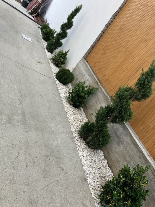 Amenajari spatii verzi