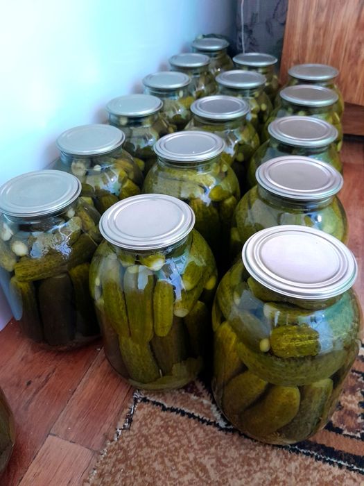 Огурцы солёные, консервированные. Дачные.