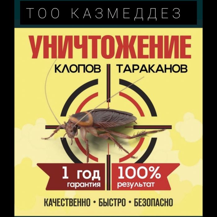 Дезинфекция Семей