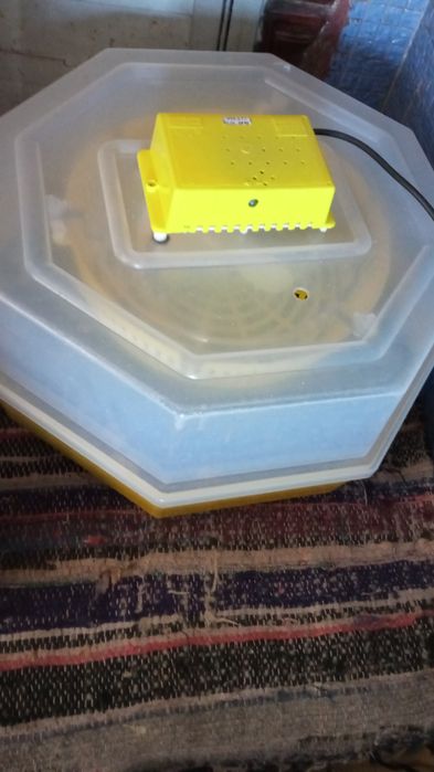 Vând sau schimb 2 clocitori folosite doar 1 dată