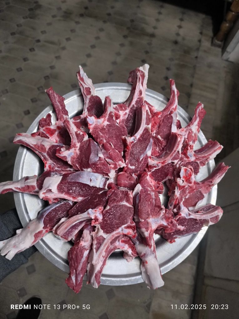 Qassob xizmati 300.000 ming soʻm Qoy soʻyamiz кассоб хизмати