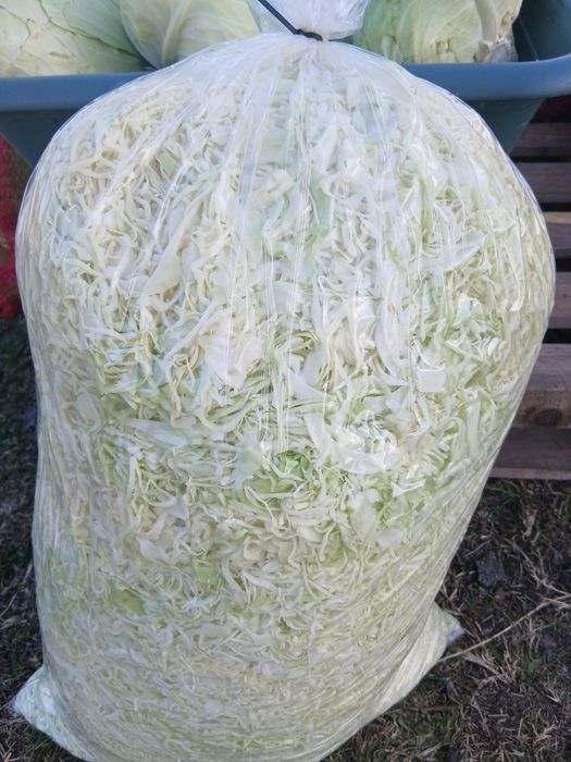 Vand varza de toamna