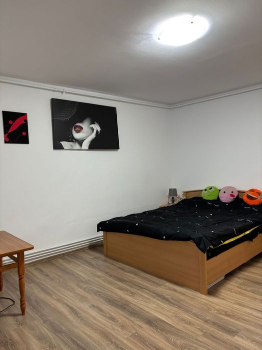 Proprietar inchiriez garsoniera Take Ionescu