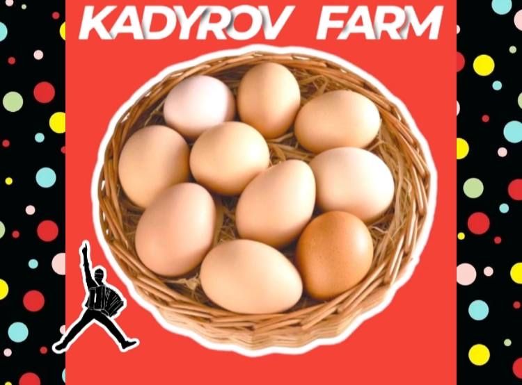 Фермерские яйца оптом — натуральный вкус продукта