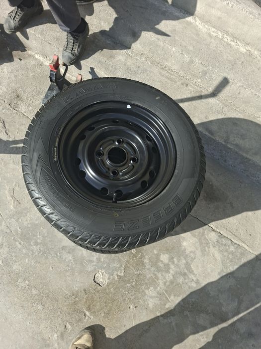 Diska balon damas laboga tushadi ayirboshlash bor