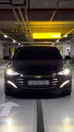 Malibu 2 PREMIER Одни Руки брали с салона