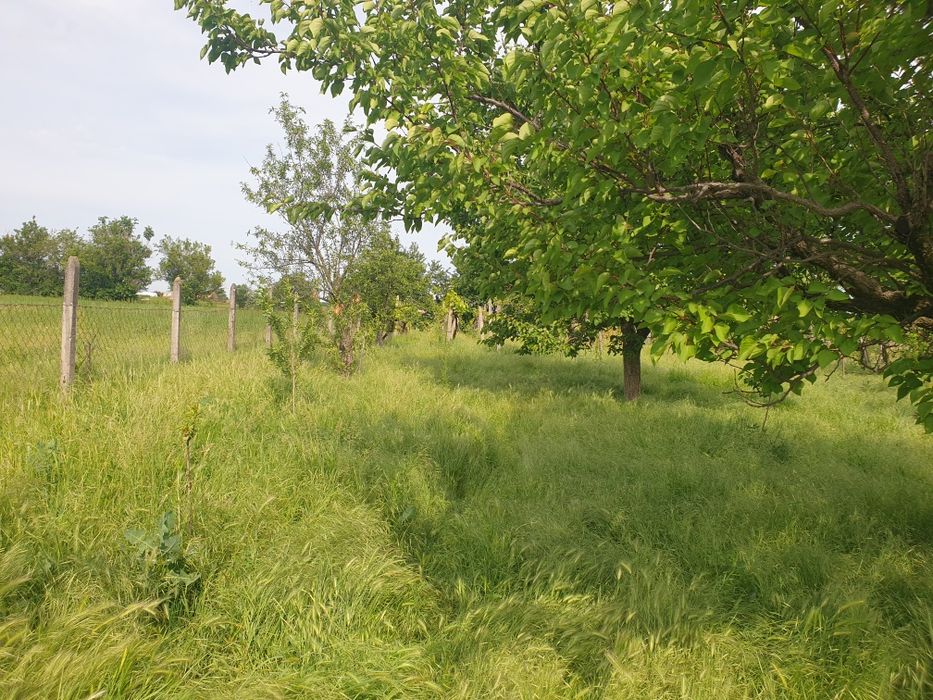 Продава се Парцел в с. Дълбок извор, Област Пловдив - 800 кв.м за 14 €/кв.м - Снимка #2