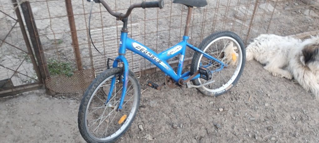 Bicicleta pegasus