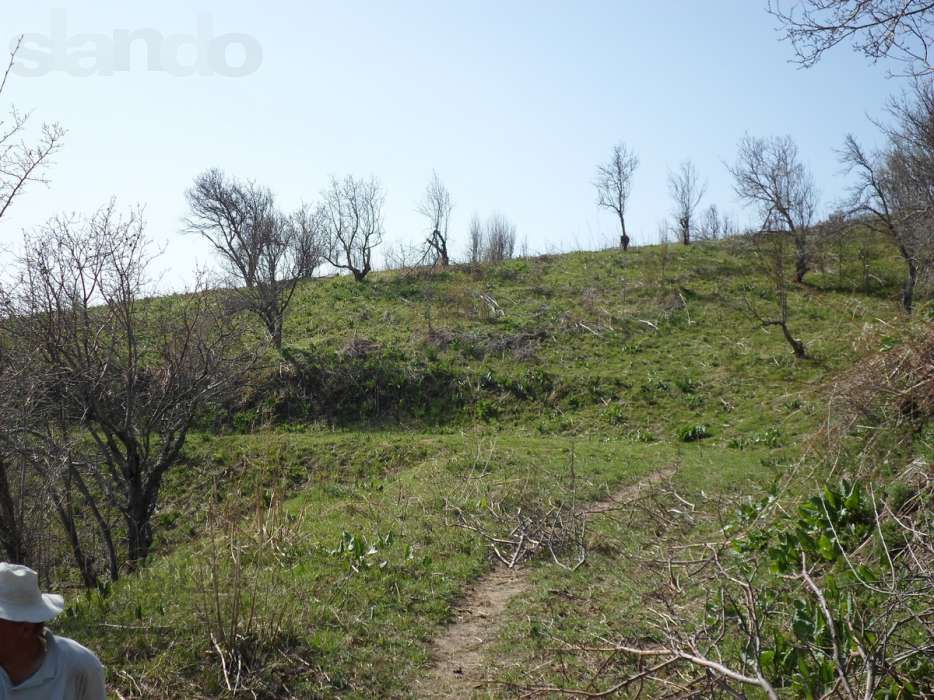 Участок 184сотки