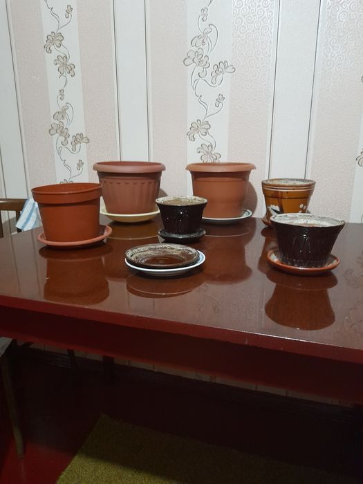 Горшки для цветов.