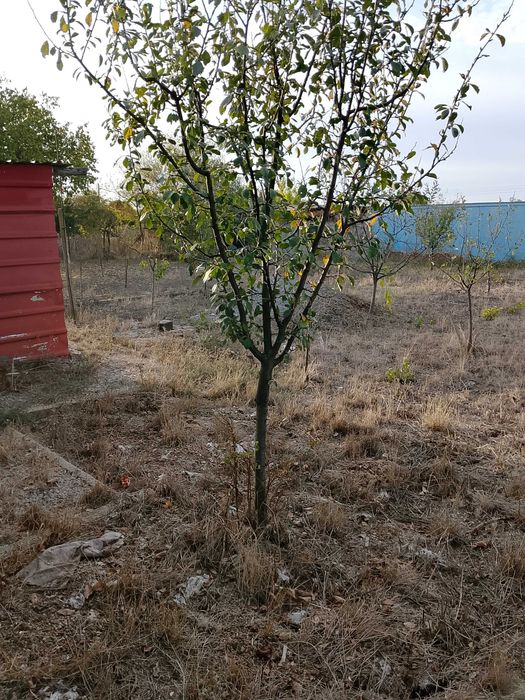 Продавам две дворни места на новите лозя