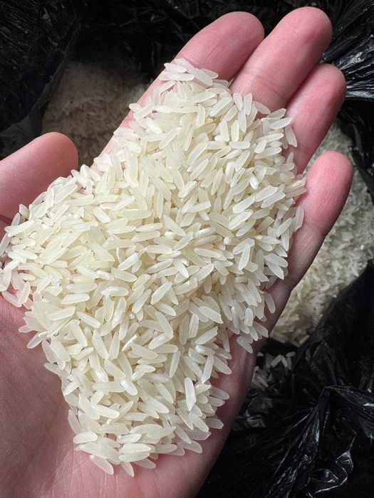 Гуруч лазер, янги хосил, оптом нархларда