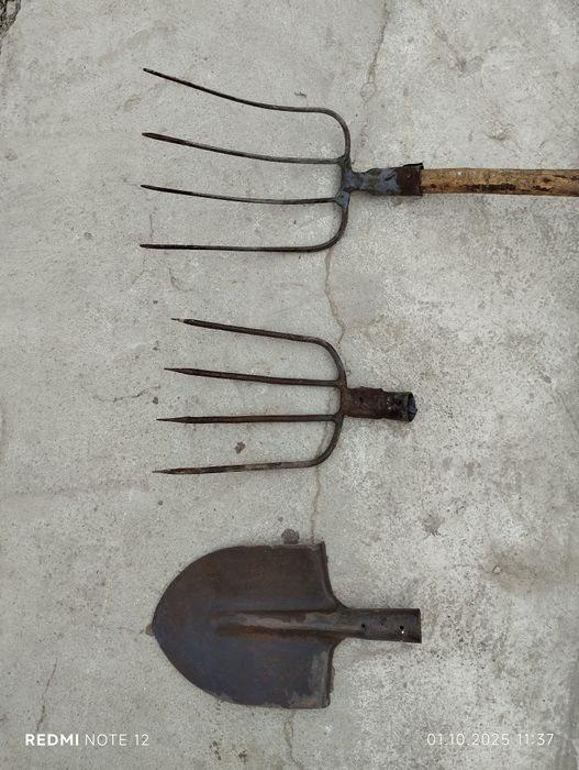 Лопатка, паншахалар