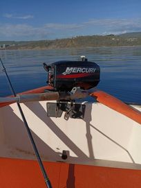 Лодка с мотор Mercury