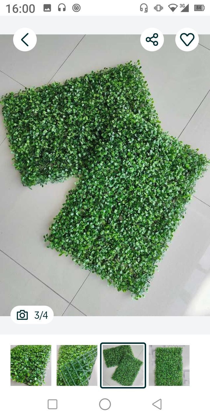 Yashil gilam devor uchun