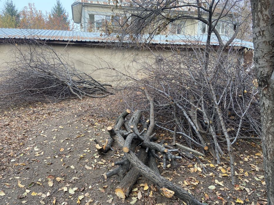 На дрова  отдам бесплатно