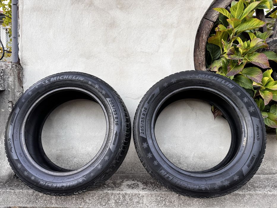 Зимни Гуми Michelin / Verderstein