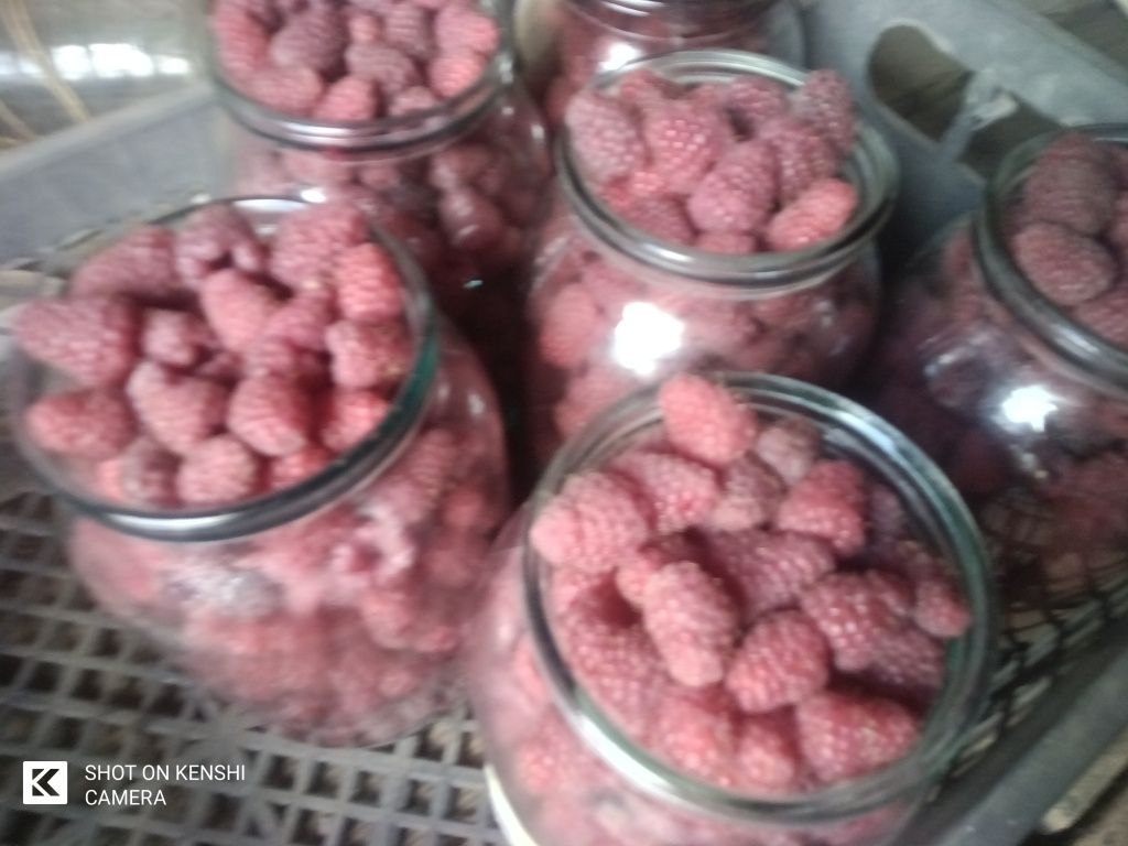 Малина вишня яблоки, солнце, дар.