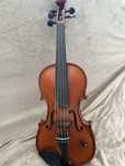 Vioara Rece Amplificata Doza Mare 5/5 Corzi