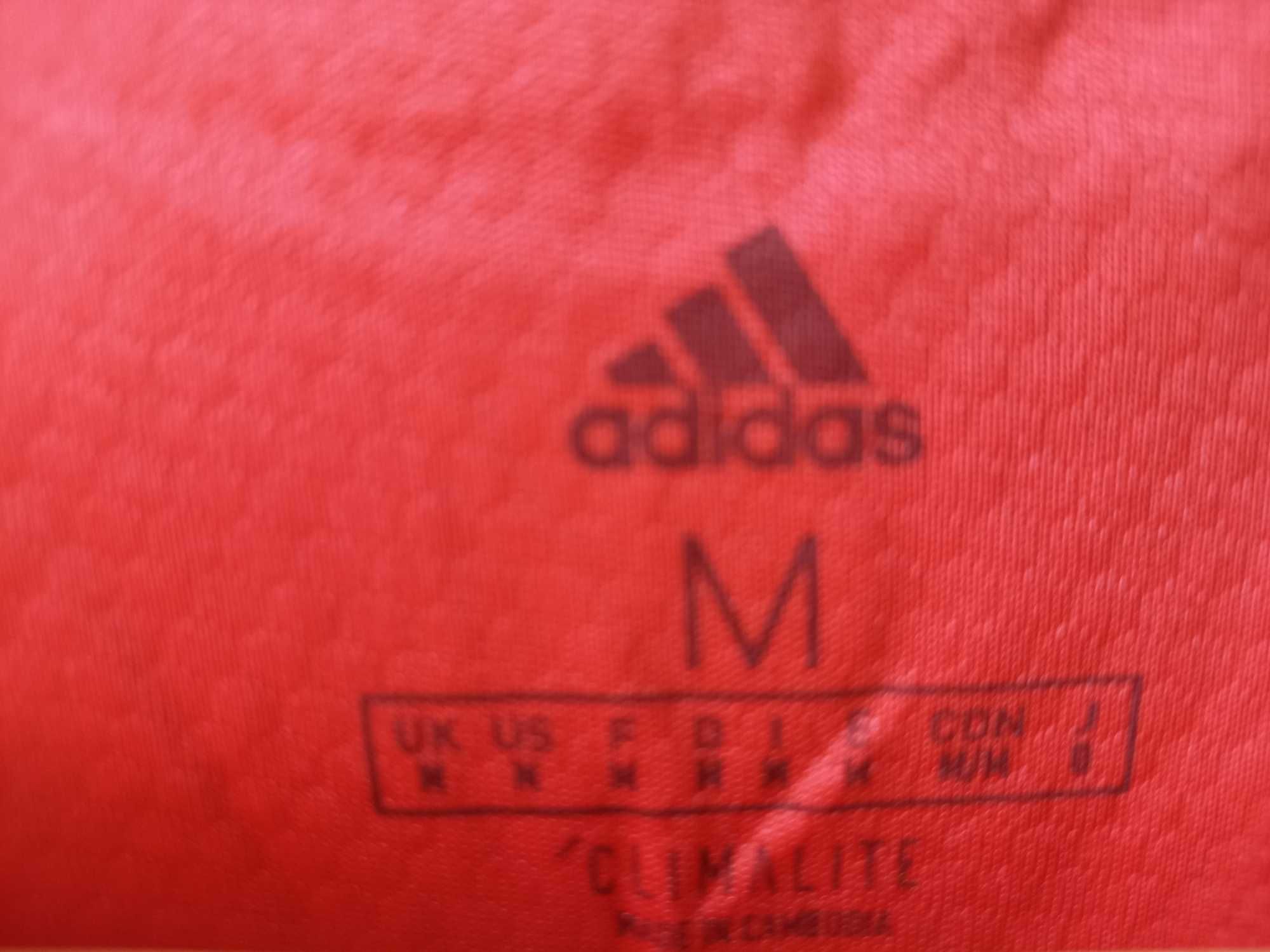 Тениска AC Milan,Borussia Dortmund, S.L. Benfica, долнище PSG и Macron