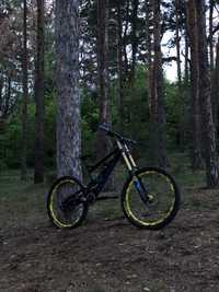 CANYON TORQUE frx (limeted edition)
