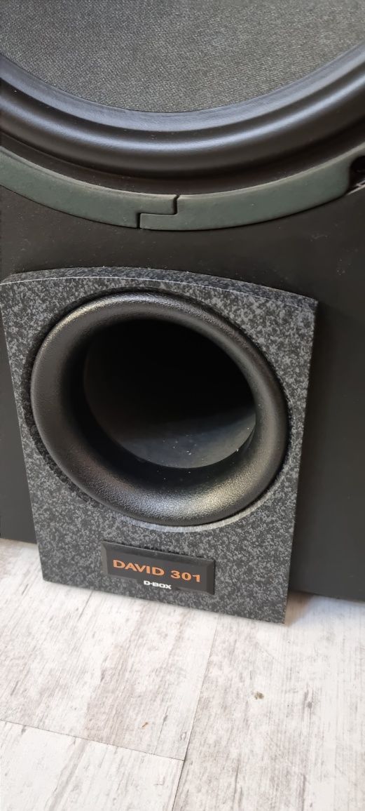 Активен субуфер 12-ка D-box Audio David-301