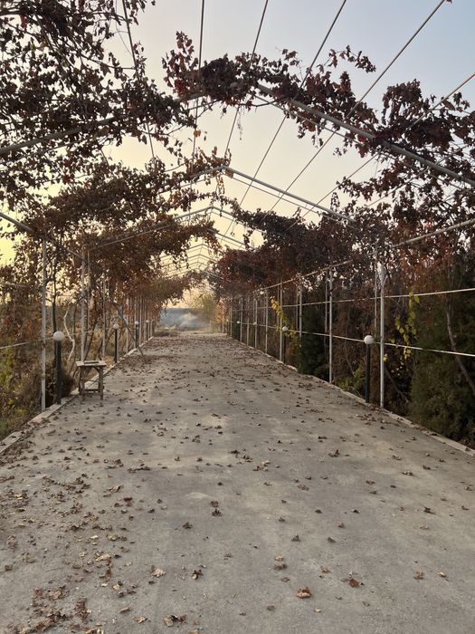 Продаётся комплекс (холодильник, склад, оборудование для сушки фруктов