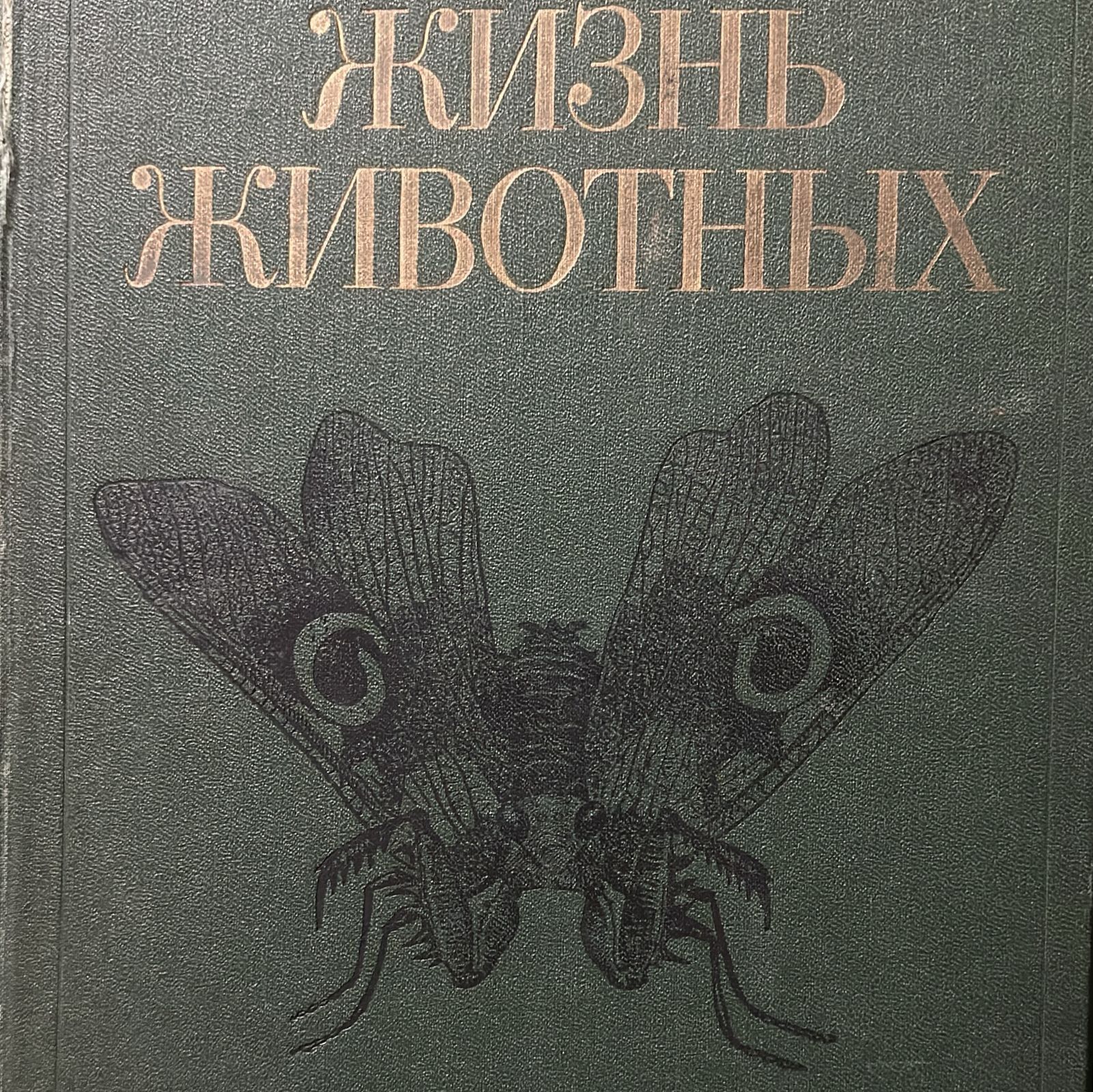 Комплект книг - Жизнь животных