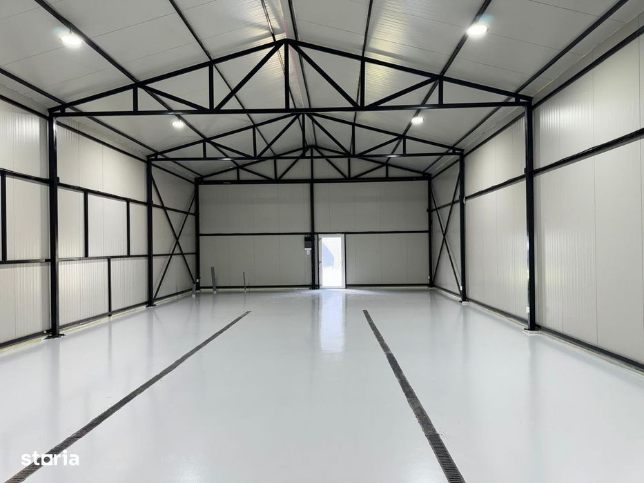 Hala de vânzare/închiriat Podari
