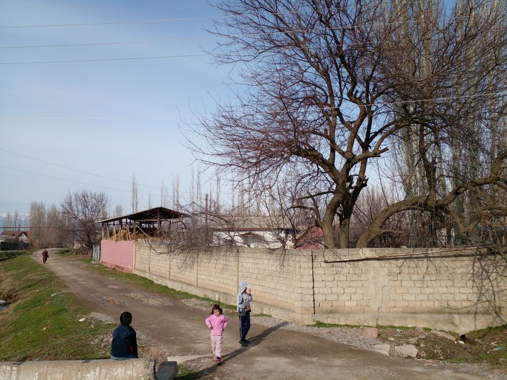 Уи ховли бизнеска кулай чироли жойида