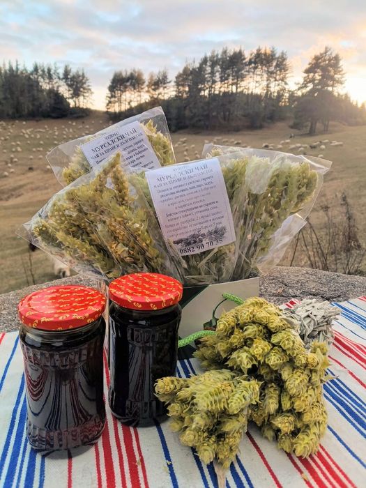 Билки и мед от борови връхчета