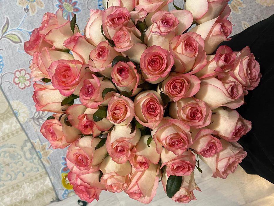 39 роза красивый