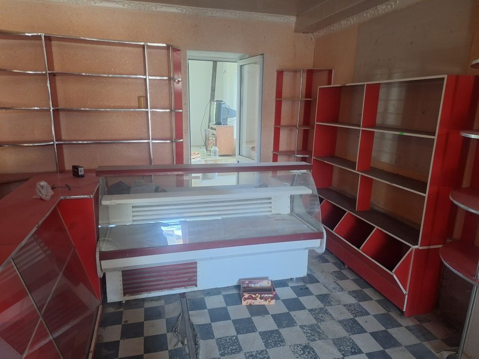 Vetrena xolodennik marazelka . Dukon uchun rastalar. Hammasi sotiladi