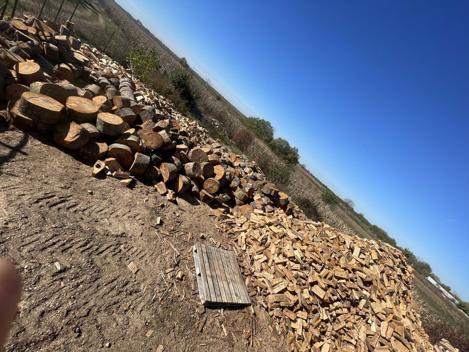 Vand lemne de foc Fag-Spart