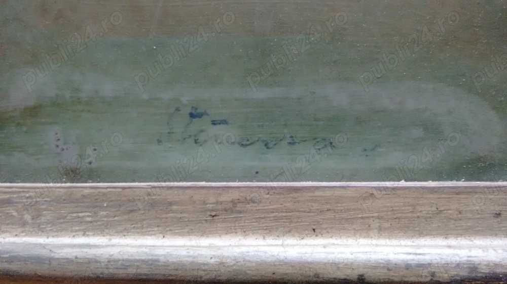 Stancescu - Natura Moarta - Fructe - UIei pe Carton 60 40cm Rama