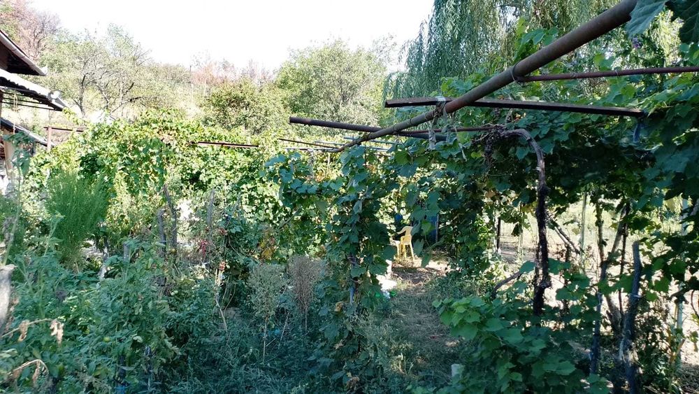Casa 3 dormitoare