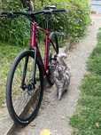 Bicicletă Gravel Specialized Sirrus X 3.0 XL